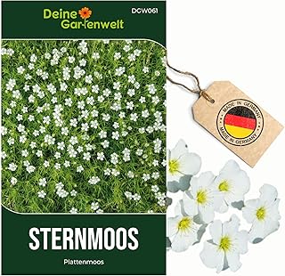 Sternmoos Mastkraut Plattenmoos Samen – Sagina subulata – Sternmoossamen – Saatgut für 400 Pflanzen
