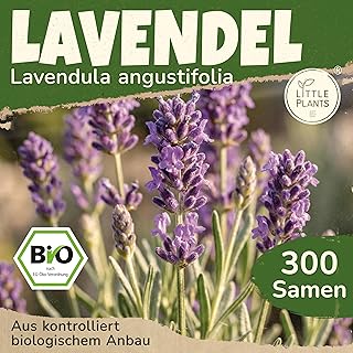 BIO Lavendel Samen 300 Lavendelsamen Blumensamen für Blumenkübel Samenfest Blumen Samen für Ba…