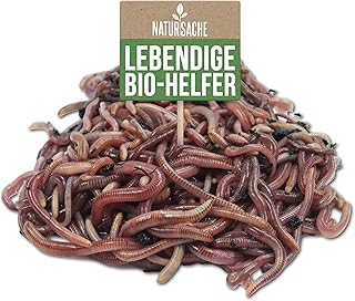 Natursache Kompostwurm-Mix 250 STK./Box + E-Book I Mit 3 Arten lebenden Kompostwürmer I Für ein…