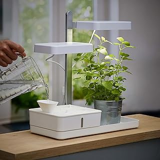 Northpoint LED Pflanzenlampe Gewächslampe Pflanzenlicht 30W Kräutergarten Timerfuntion Innengarten