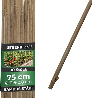 STREND PRO Bambusstäbe 75 cm – 10er Set | Ø 6-8 mm Natürliche Holzstäbe | Pflanzstäbe & Rank…
