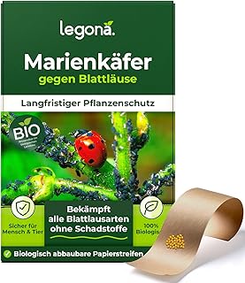 Legona Marienkäferlarven gegen Blattläuse, 100 Eier für 10 m² | Marienkäfer-Eier auf Träger…