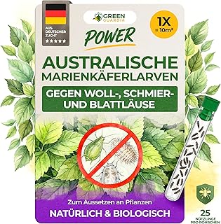 GREEN GUARDIA Australische Marienkäfer Larven gegen Wollläuse, Schmierläuse & Blattläuse – …