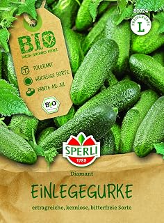 Sperli BIO Einlegegurkensamen F1 80724 – Kernlos, Bio-zertifiziert DE-ÖKO-013, CMV-resistent, Me…