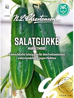 Salatgurke Marketmore Saatgut | 25 cm lange Früchte, Freilandanbau, Bitterstofffrei, Mehltau-tol…