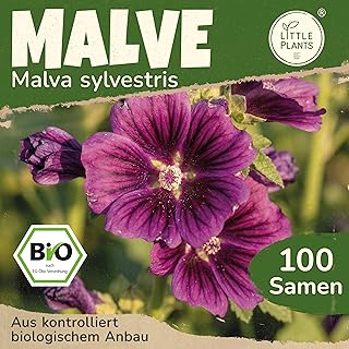 BIO Malve Samen 100 Malvesamen Violett Blumensamen für Blumenkübel Samenfest Blumen Samen für …