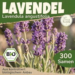 BIO Lavendel Samen 300 Lavendelsamen Blumensamen für Blumenkübel Samenfest Blumen Samen für Ba…