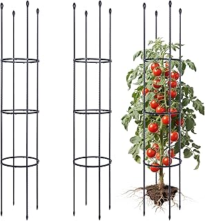 ThxToms 2 Stück Garten Rankhilfe aus Metall Kern 160CM mit 30*Pflanzenclips| Tomatenkäfig Pflan…