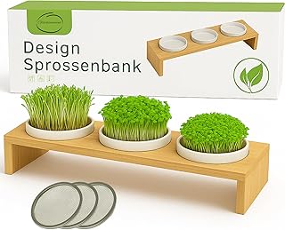 Glücksmoment Kressebank 42cm mit 3 Keramik Kresse Anzuchtschalen für Kressesamen, Sprossen & Mi…