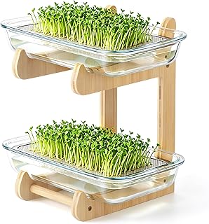 Sprossen Anzuchtset, 2 Böden Microgreens Anzuchtset mit 2 Glas Kresse Anzuchtschalen und Bambuss…