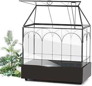 EFUTURETIME Mini Gewächshaus Fensterbank Glas mit Auffangschale 24,2 x 14,7 x 29 cm Pflanzenterr…