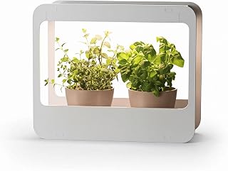 Romberg Home Garden Mini Gewächshaus mit LED Wachstumslampe für Pflanzen, LED Pflanzenlampe Vol…