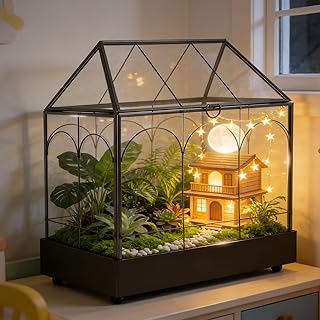 Pflanzenterrarium, 24,2 x 14,7 x 29 cm Glas Geometrisches Terrarium mit Auffangschale, Geschlosse…