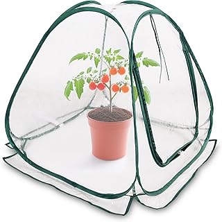 Mini Pop-Up Folien Gewächshaus 60 x 60 cm – Kleines Treibhaus für Gemüse, Blumen & Pilze –…