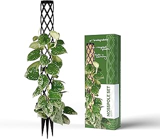 Rankhilfe mini, kleine Rankhilfen für Kletterpflanzen, Monstera, Moosstab, Pflanzstab, Pflanzens…