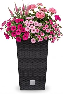 Prosperplast Blumentopf in Rattan-Optik Pflanzkübel mit Einsatz | 32,5 x 32,5 x 61 cm | anthrazi…