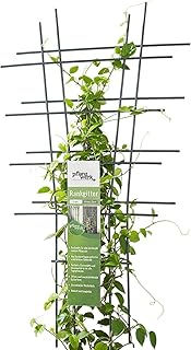 Pflanzwerk® Pflanzkübel Rankgitter – 2 Stück – 45x25cm Pflanzen Rankhilfe Blumen Rosen Kletter…