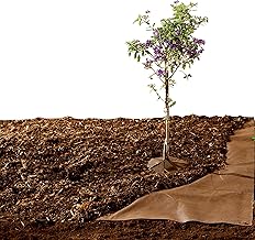 Bio Green Unkrautvlies 30m² Gartenvlies zur Beetabdeckung gegen Unkraut, Bio-Mulchvlies, wasserd…