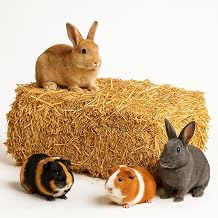 Naturbelassene Strohballen 15kg Neue Ernte– vielseitig einsetzbar für Tierhaltung, Garten, Dek…