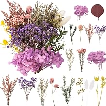 LAUMOE Getrocknete Blumen, Trockenblumen Zum Basteln Mini Trockenblumen Set für DIY Epoxidharz S…