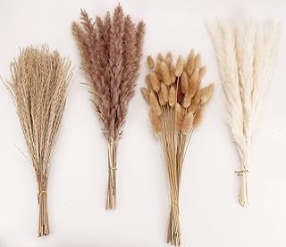 ANPROOR Getrocknete Pampasgrasdekoration, 100 Stück Pampasgras mit Bunny-Tails-getrockneten Blum…