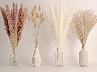 65 STK. Pampasgras Dekoration, inkl. Pampas-Floral, getrocknetem Schilfgras und getrockneten Häs…